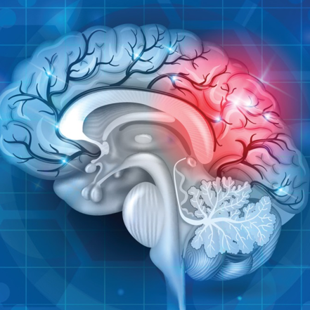 Gan damar we endowaskul&yacute;ar hirurgi&yacute;a